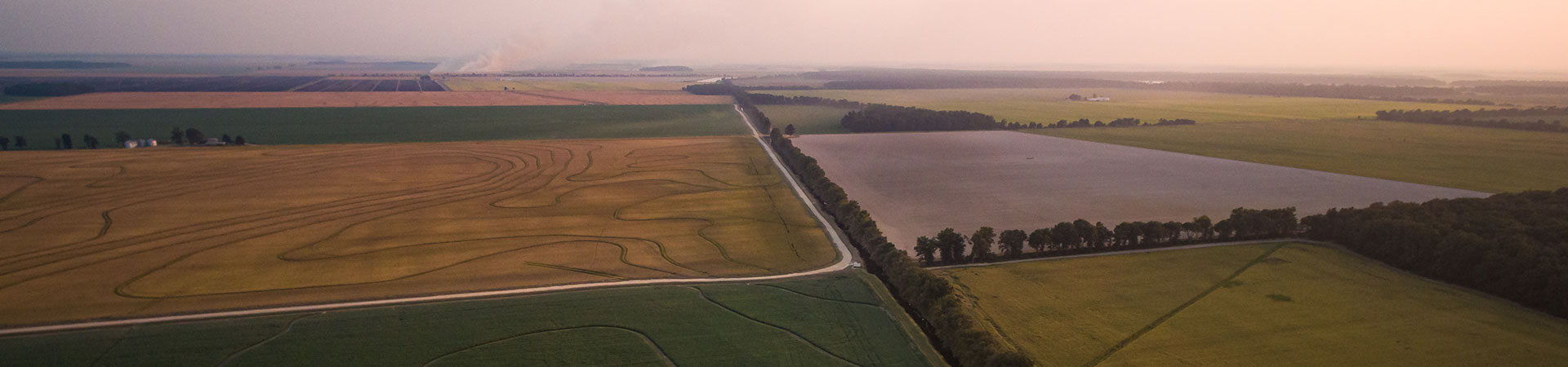 Overview of various fields Overview of various fields